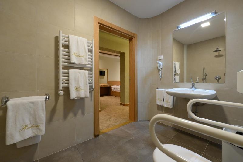 Twin Room - Disability Access image 1