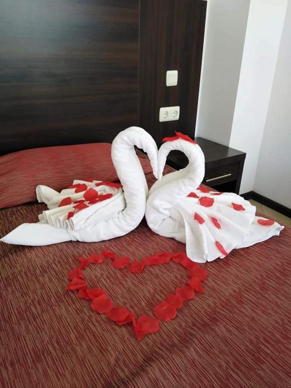 One-Bedroom Apartment image 2