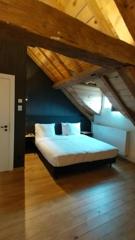 Deluxe Double or Twin Room image 4