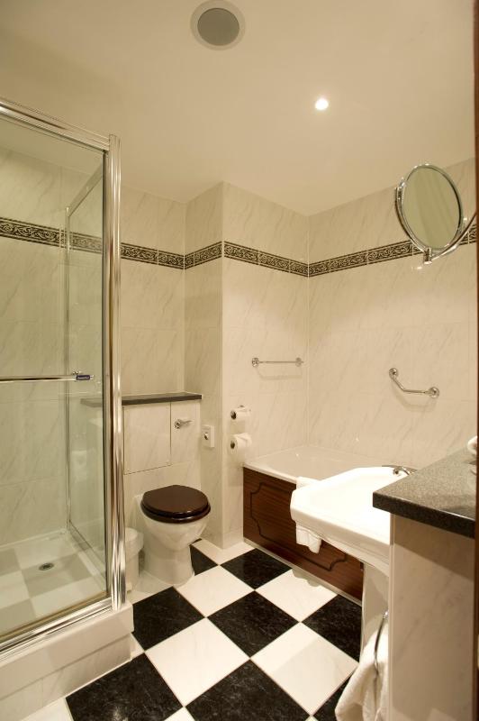 Deluxe Double Room image 3