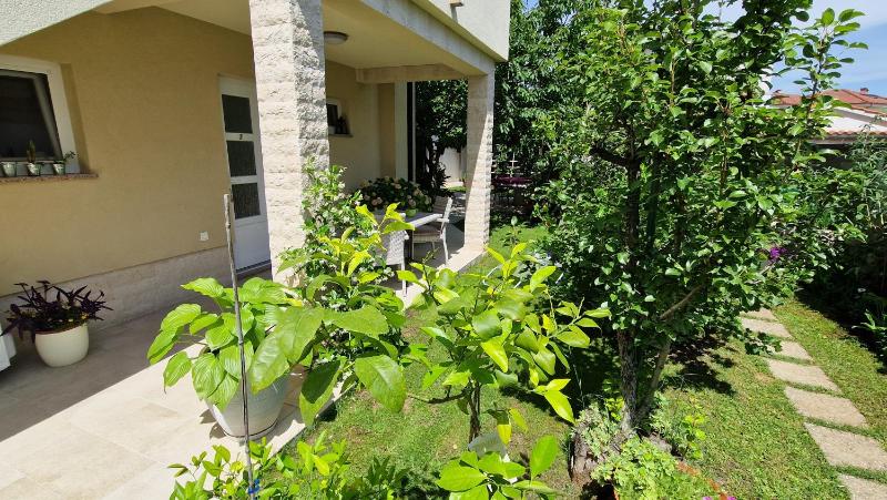 Studio with Garden View image 4