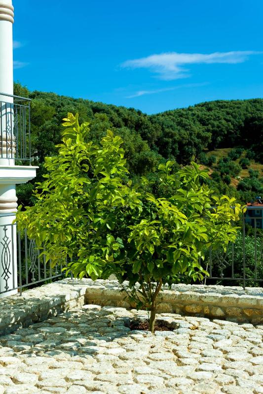 Natura Luxury Suites Parga - image 41