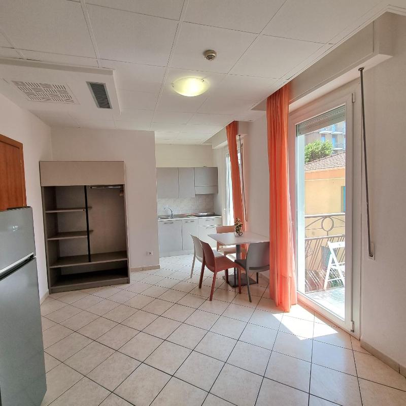 One-Bedroom Apartment image 2