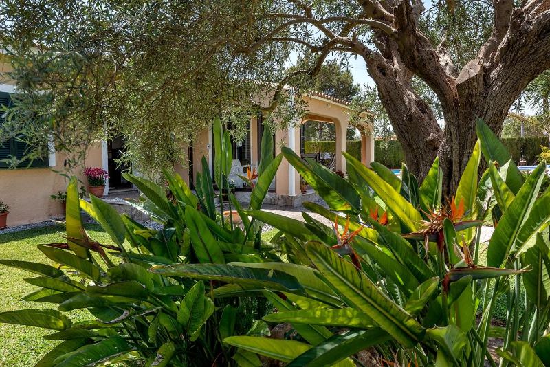 Villa Iris - Alcúdia - image 25