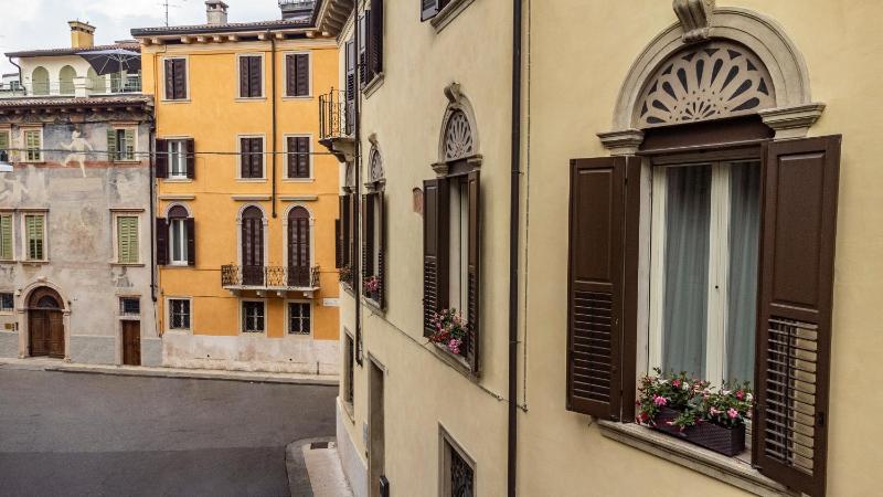 Butterfly Verona - image 7
