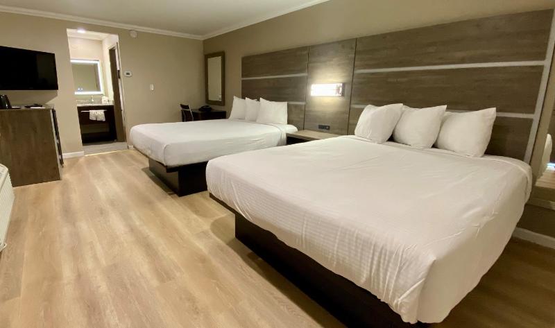 Queen Rooms with Two Queen Beds - Non-Smoking image 3