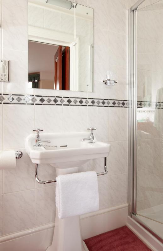 Large Double Room with En-Suite Shower image 3