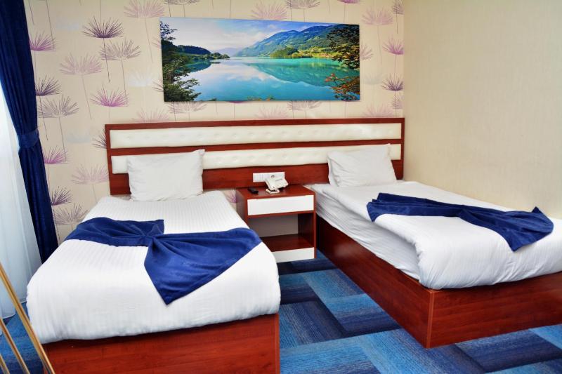Twin Room image 3
