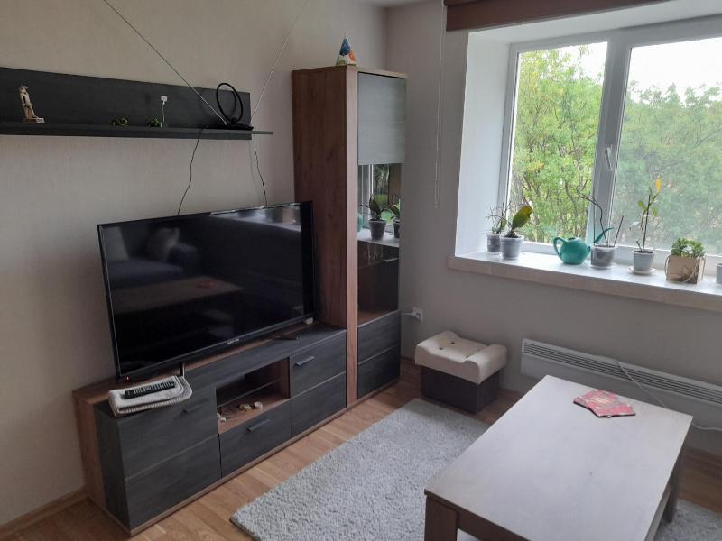 Quiet Summer Apartment Images