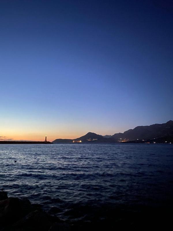Carpe diem - image 3