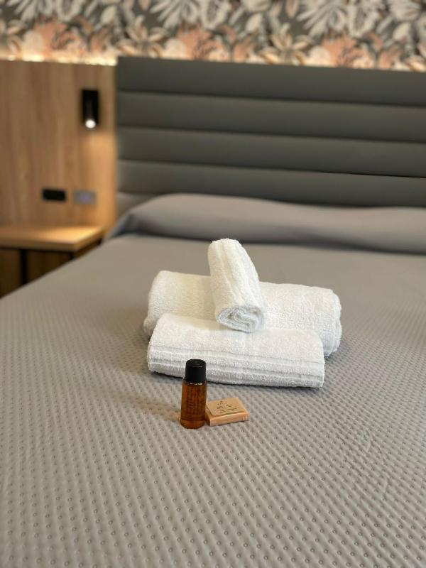 Double or Twin Room image 4