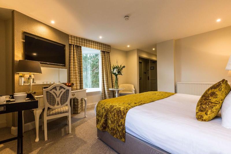 Standard King Room image 4