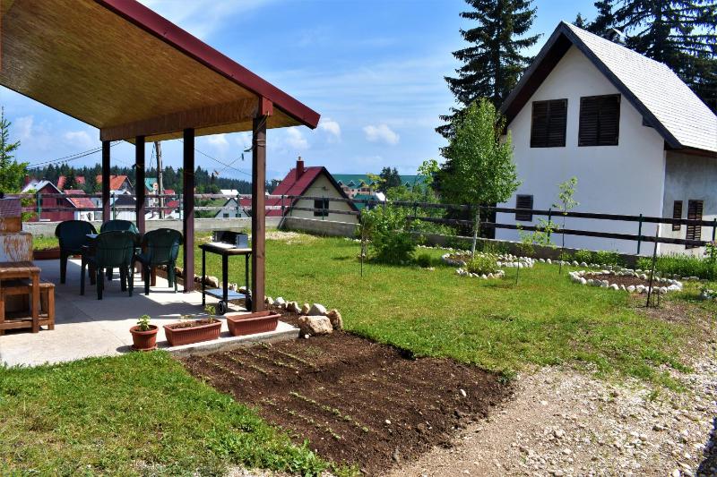 One-Bedroom Apartment image 2