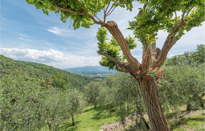 Montecatino - image 26
