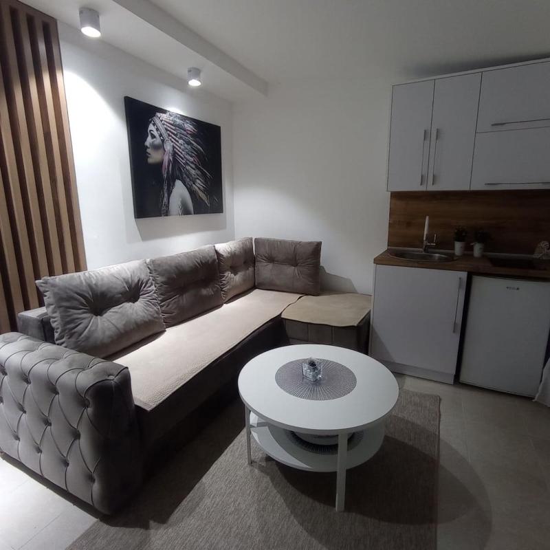 Apartment - Ground Floor image 3