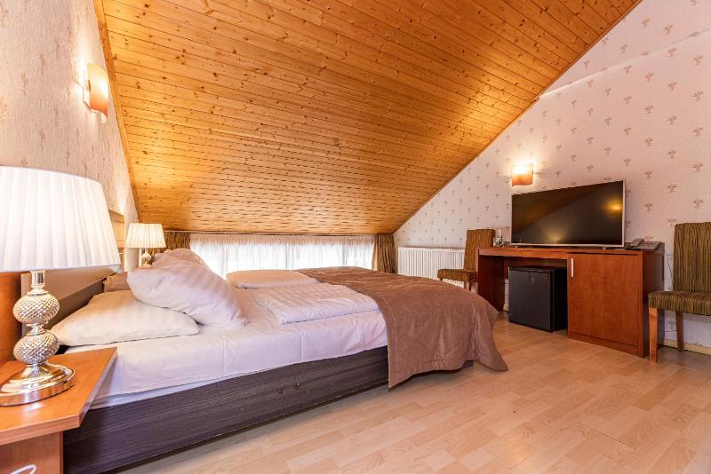 Superior Double Room image 3