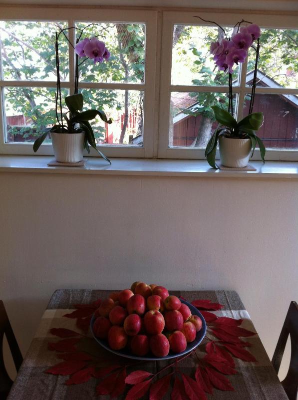 Apartment with Garden View image 3