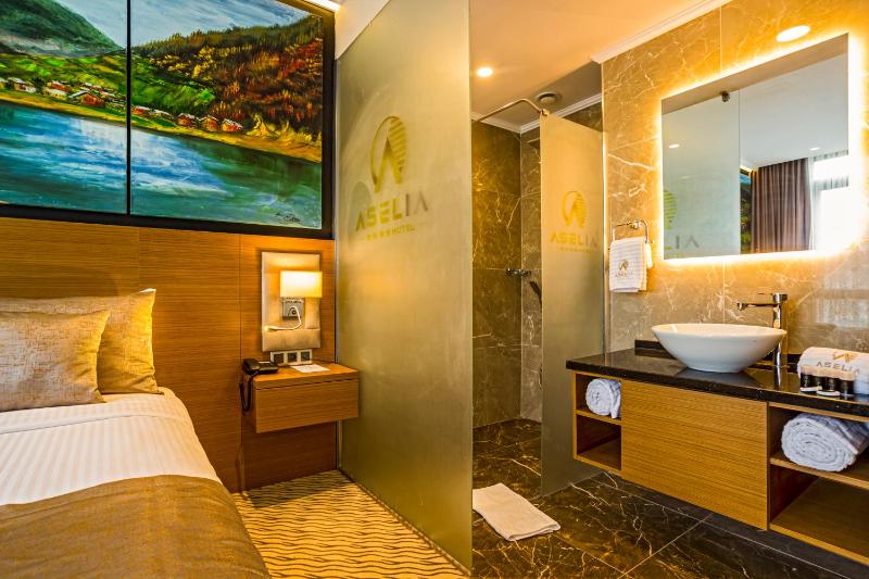 Deluxe King Room with City View image 4