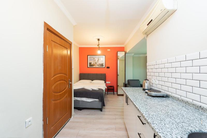One-Bedroom Apartment image 4