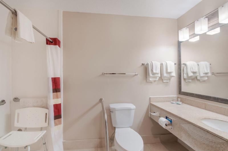 Superior King Room Disability Access Roll-In Shower Non-Smoking image 2