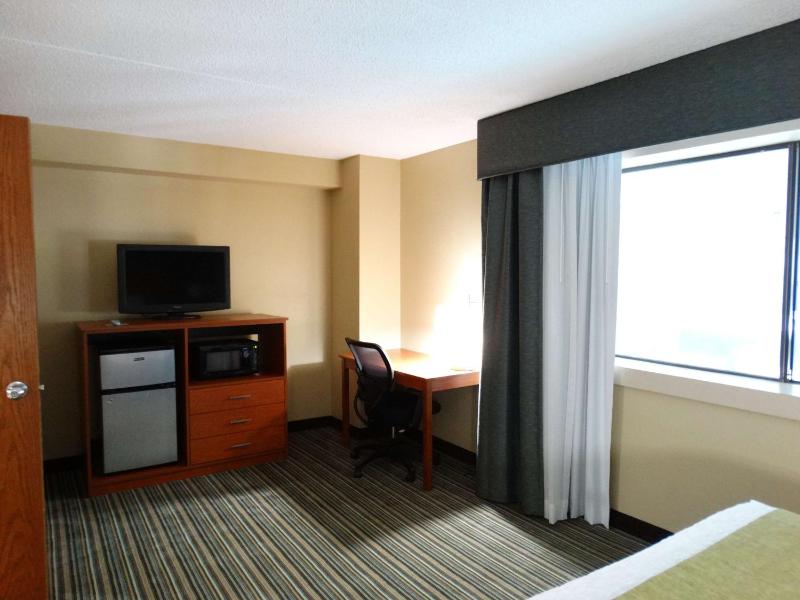 One-Bedroom King Suite with Sofa Bed - Non-Smoking image 3