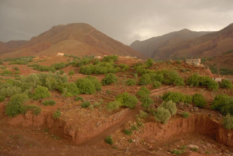 Riad Lorsya - image 3