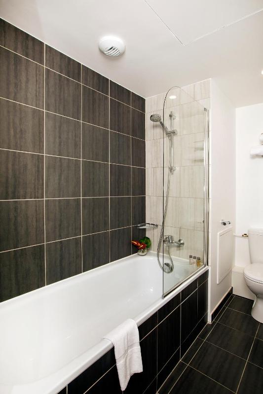 One-Bedroom Apartment image 2