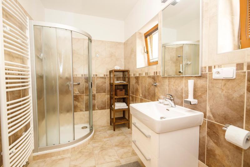 One-Bedroom Apartment image 2