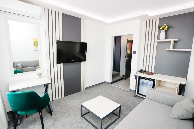 One-Bedroom Apartment image 3