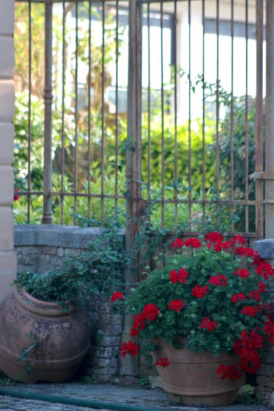 Villa Sant’Andrea - image 37