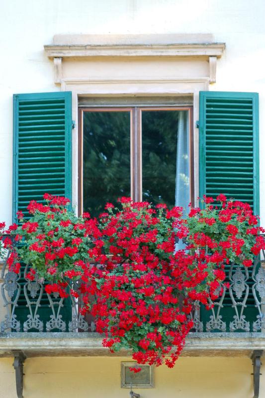 Villa Sant’Andrea - image 27