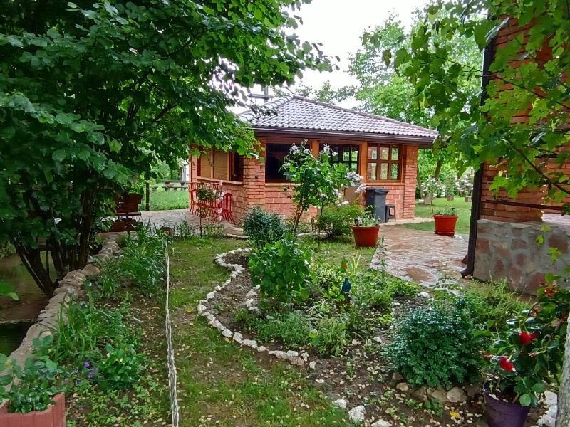 Live Nature - image 16