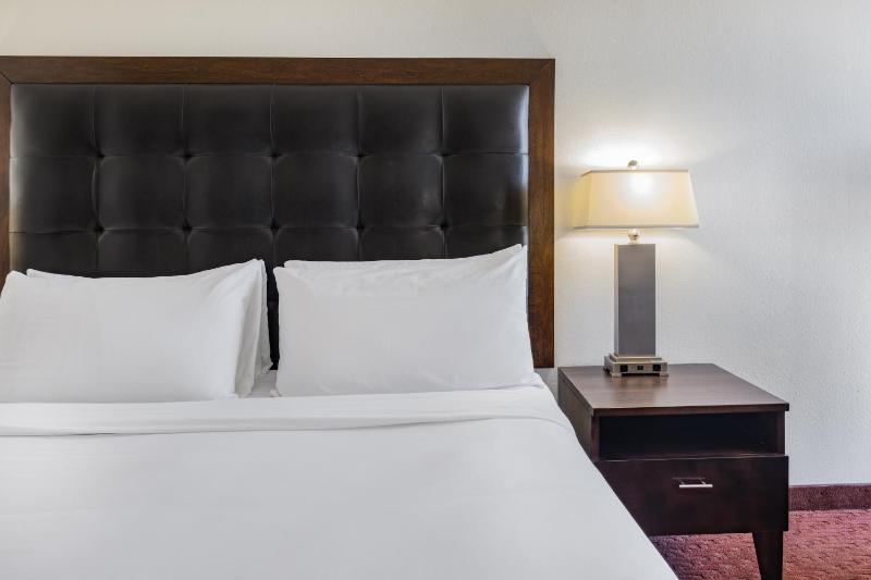Deluxe King Suite - Non-Smoking image 4