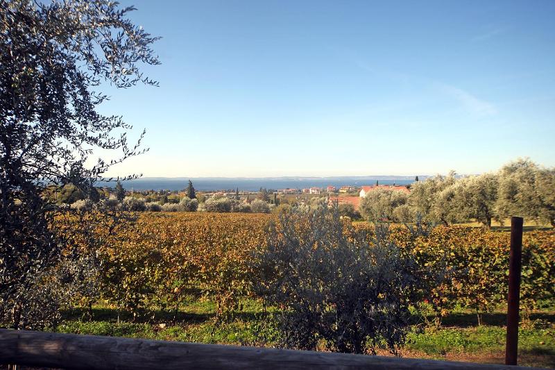 Appartamenti Bellavista - image 39