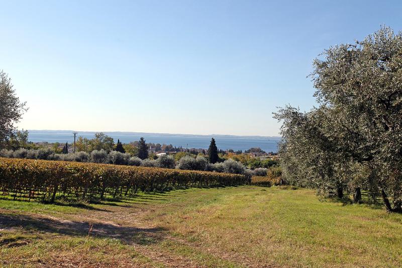 Appartamenti Bellavista - image 12