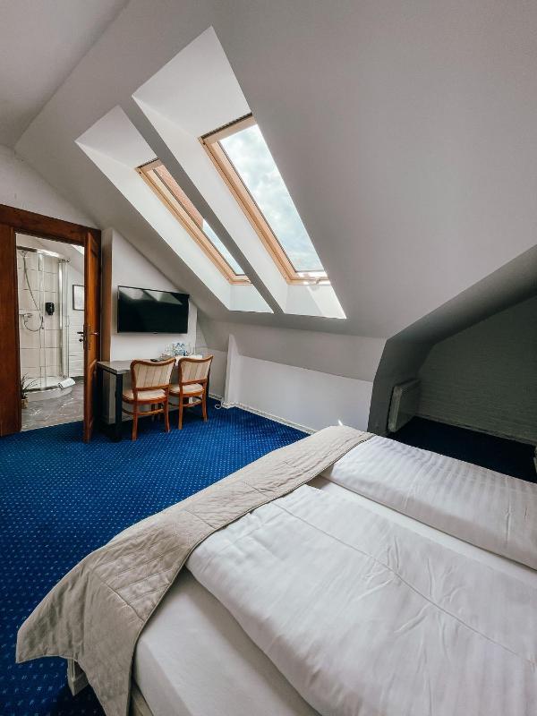 Double or Twin Room image 3
