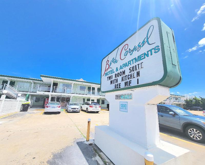 Beach Carousel - image 11