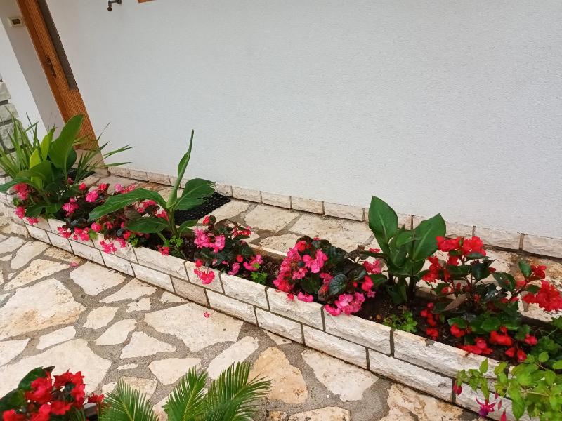 Apartments Leo - image 19