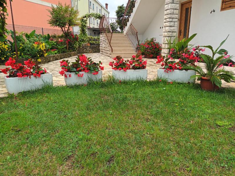 Apartments Leo - image 17