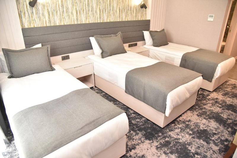 Standard Triple Room image 3