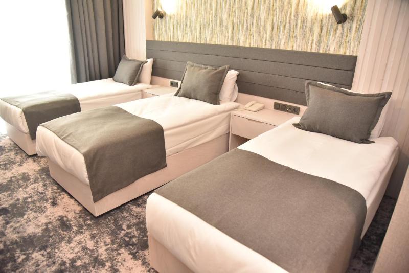 Standard Triple Room image 2