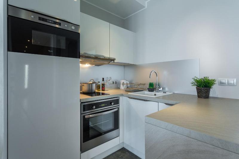 One-Bedroom Apartment with Terrace image 4