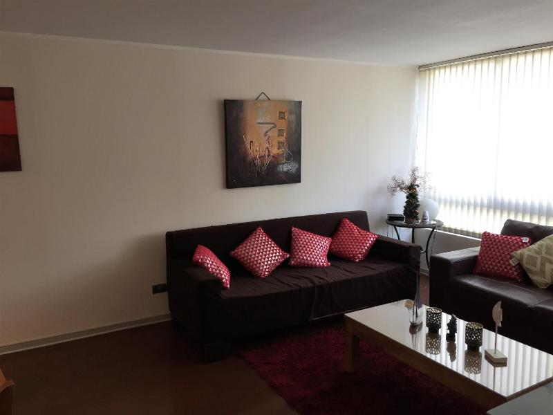 Departamento Viña del Mar - image 11