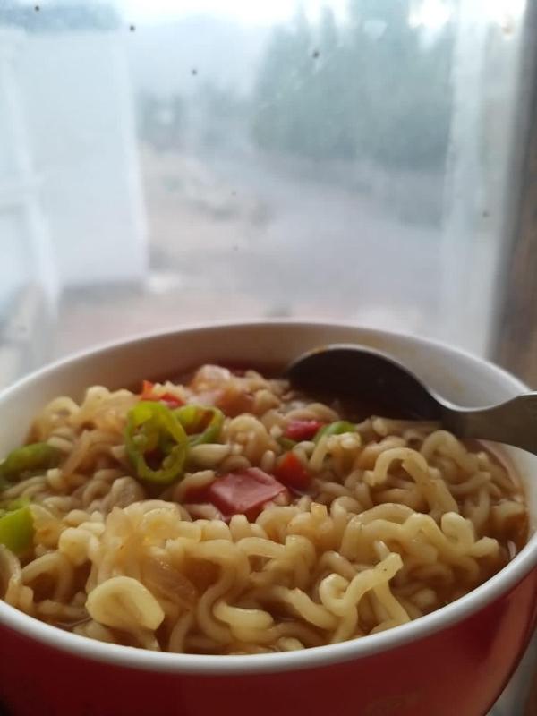 The Puma house - image 15