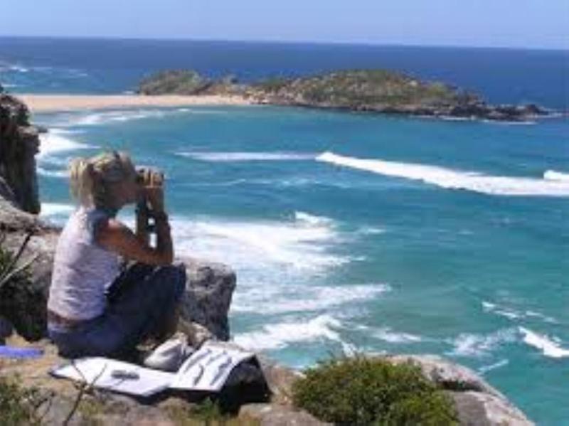 Plett Beachfront Guest House - image 8