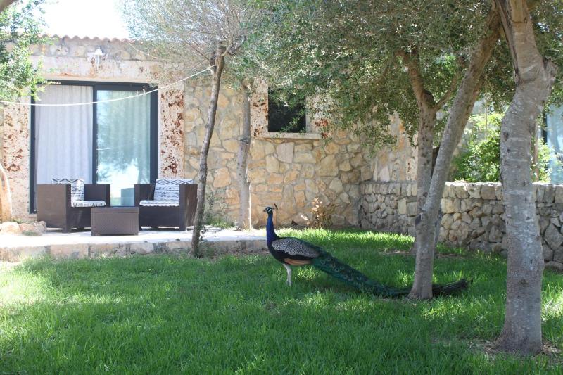 Double Room with Garden View or Terrace image 2