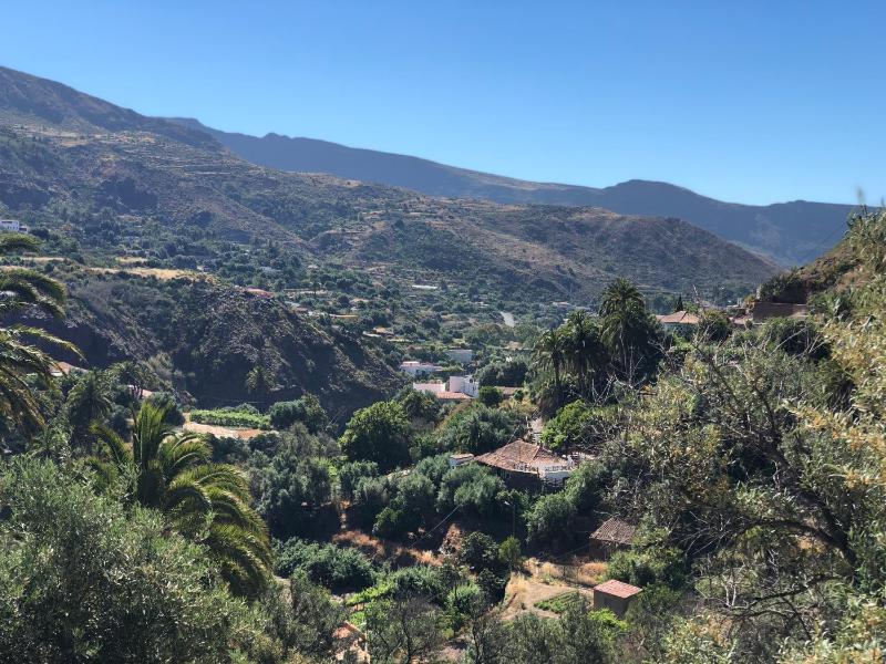 Finca Mariola - Centenaria - image 6