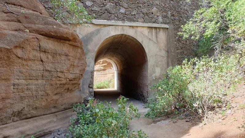 Finca Mariola - Centenaria - image 8