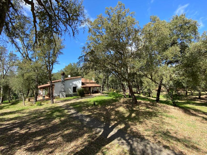 One-Bedroom House image 3