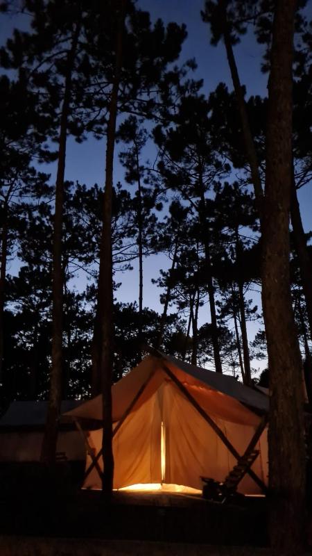 Tent Family image 3